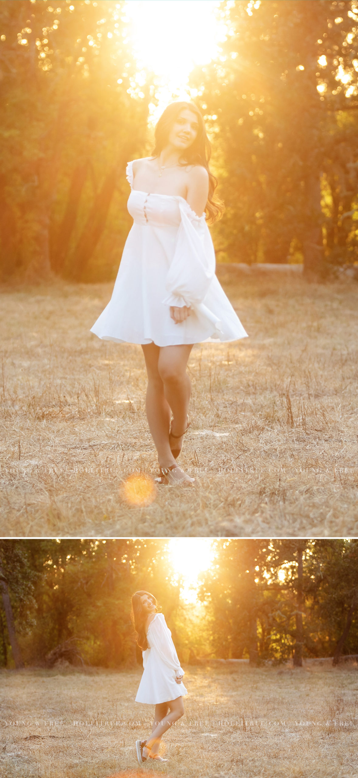 Sunset field senior pictures with beautiful golden light and bokeh by Holli True Photography