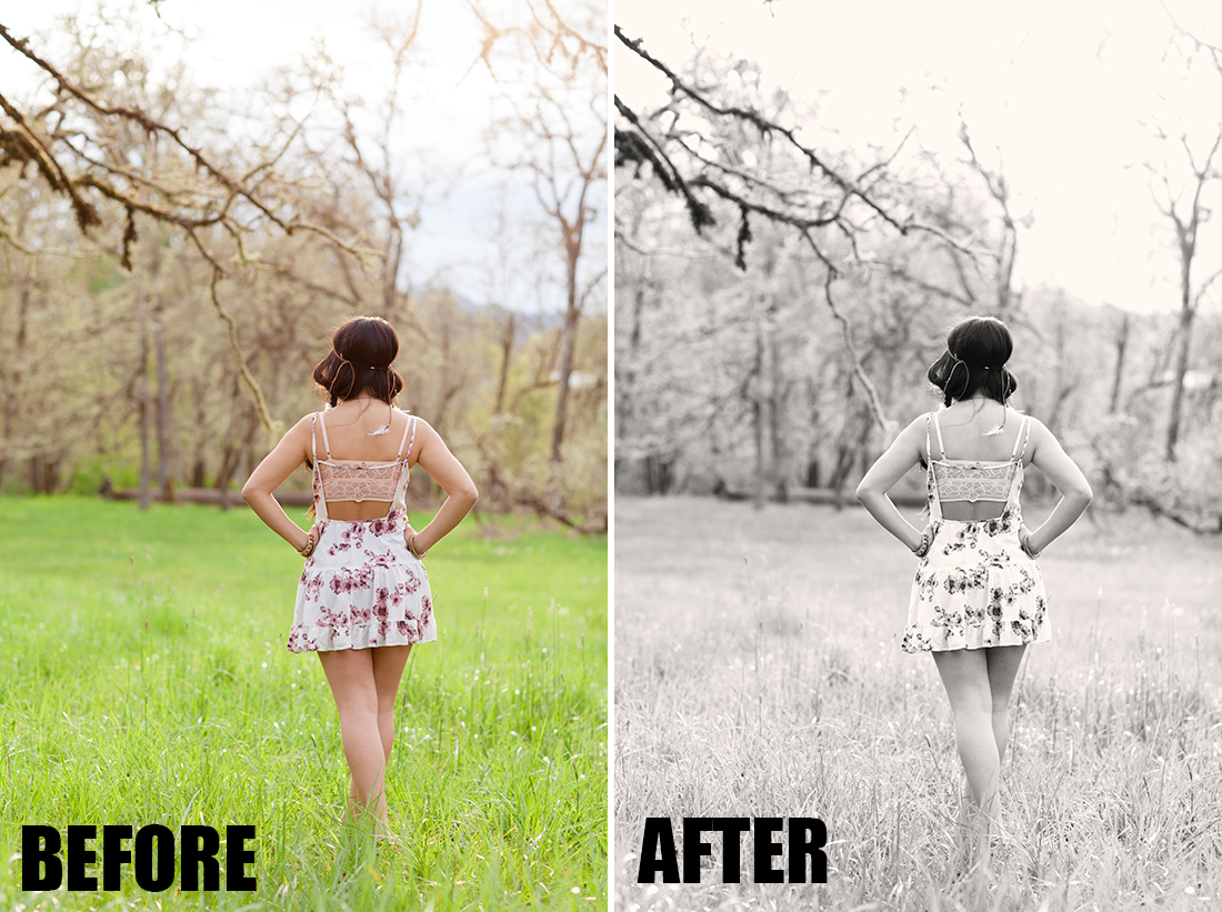 bellevue avenue photoshop actions download