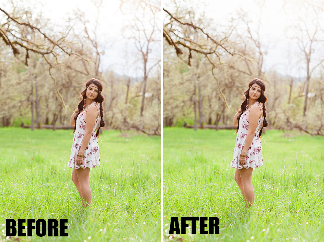 bellevue avenue photoshop actions download